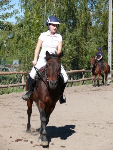 Babie Lato z Hucułami 2015